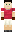 skin of a player