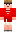 skin of a player