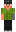 skin of a player