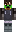 skin of a player