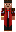 skin of a player