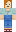 skin of a player
