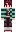 skin of a player