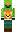 skin of a player