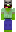 skin of a player