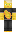 skin of a player