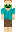 skin of a player