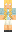 skin of a player