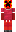 skin of a player