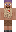 skin of a player