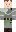 skin of a player