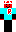 skin of a player