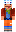 skin of a player