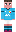 skin of a player