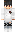 skin of a player