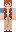 skin of a player