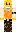 skin of a player