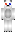 skin of a player