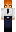 skin of a player