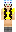 skin of a player