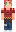 skin of a player