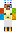 skin of a player