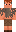 skin of a player