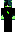 skin of a player