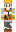 skin of a player