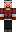 skin of a player
