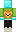 skin of a player
