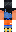 skin of a player