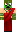 skin of a player