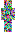 skin of a player