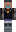 skin of a player