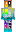 skin of a player