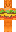 skin of a player