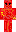 skin of a player