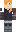 skin of a player