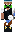 skin of a player