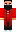skin of a player