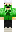 skin of a player