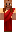 skin of a player