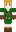 skin of a player
