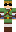 skin of a player