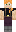 skin of a player