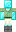 skin of a player