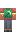 skin of a player