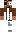skin of a player