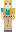 skin of a player